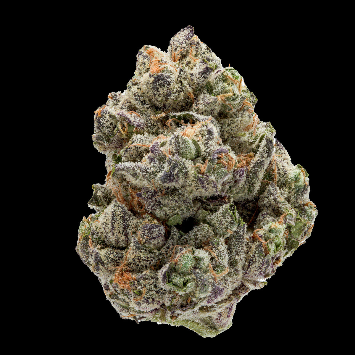 Dry Flower