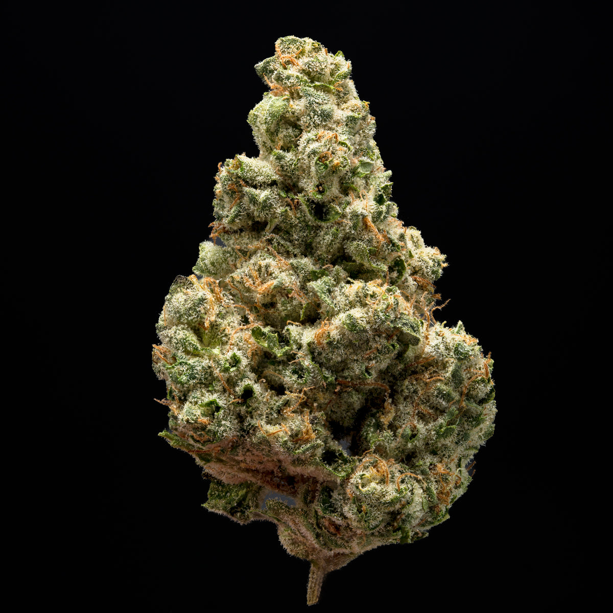 Dry Flower