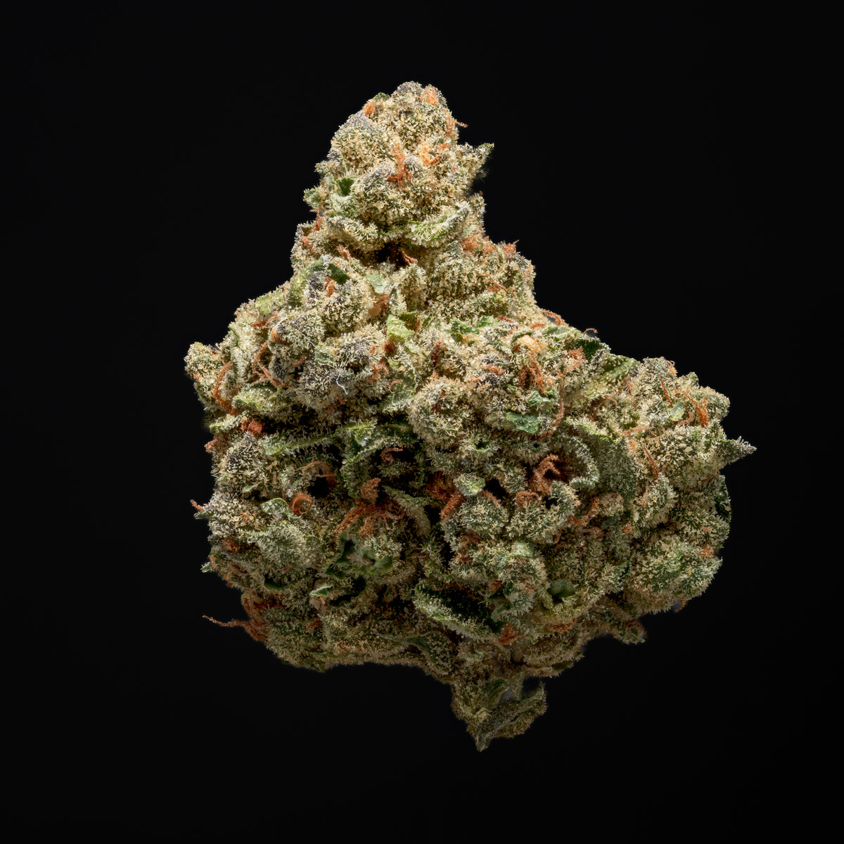Dry Flower