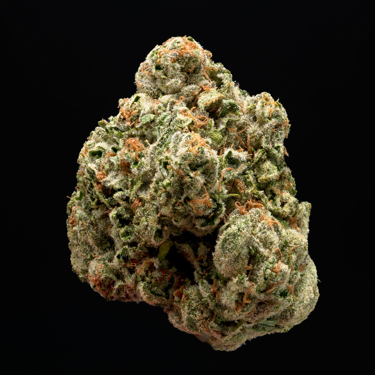 Dry Flower