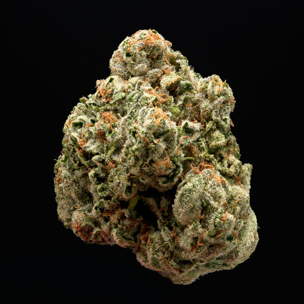 Champagne Kush